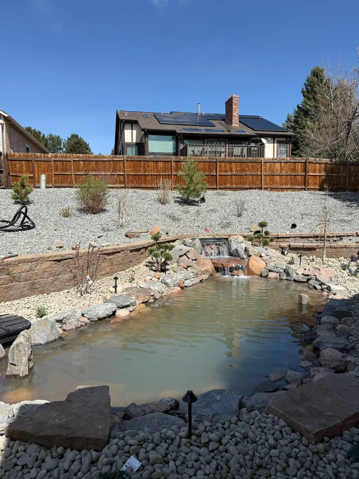 Backyard pond fed by a natural rock waterfall with boulder edging and plantings