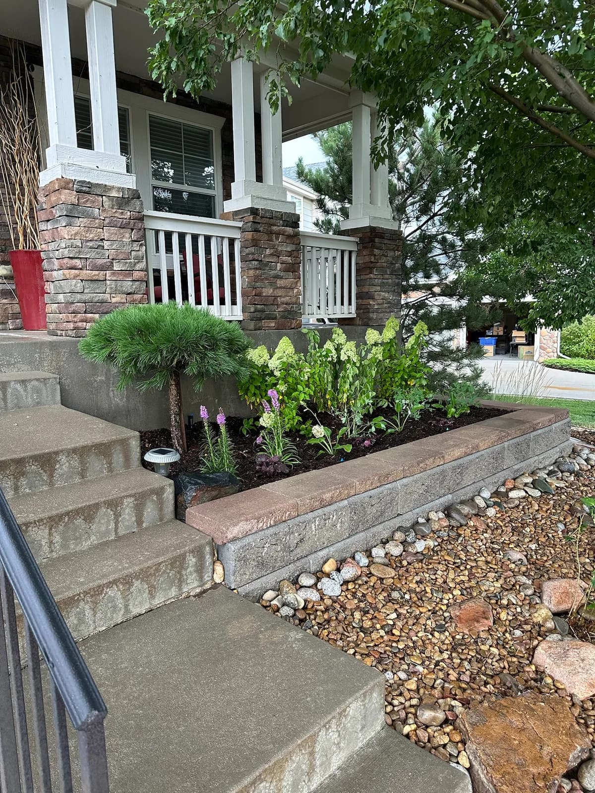 Raised entry planter with hydrangeas and a sculpted pine beside stone porch steps and a river-rock border