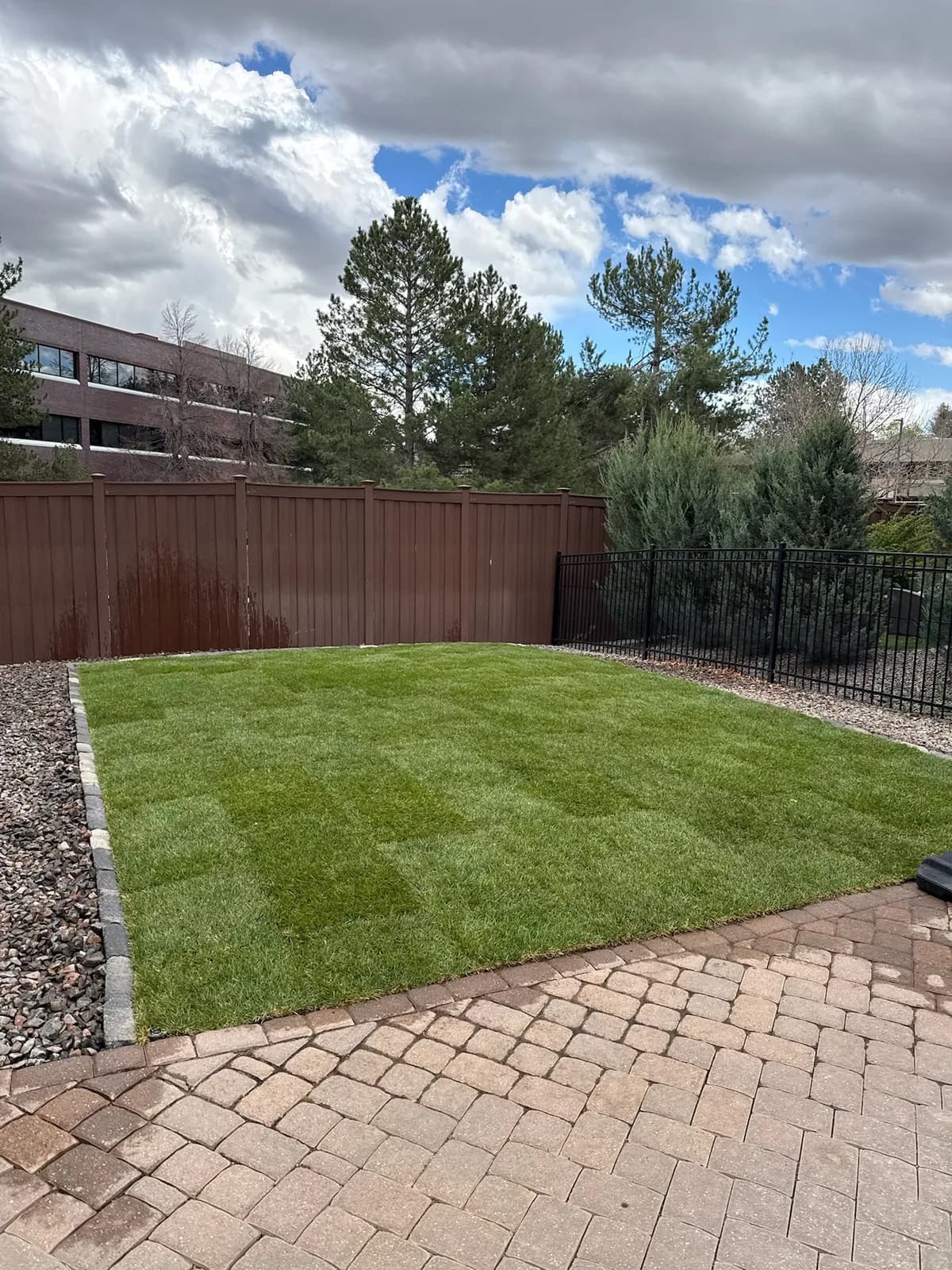 Backyard lawn bordered by a paver edge and a privacy fence